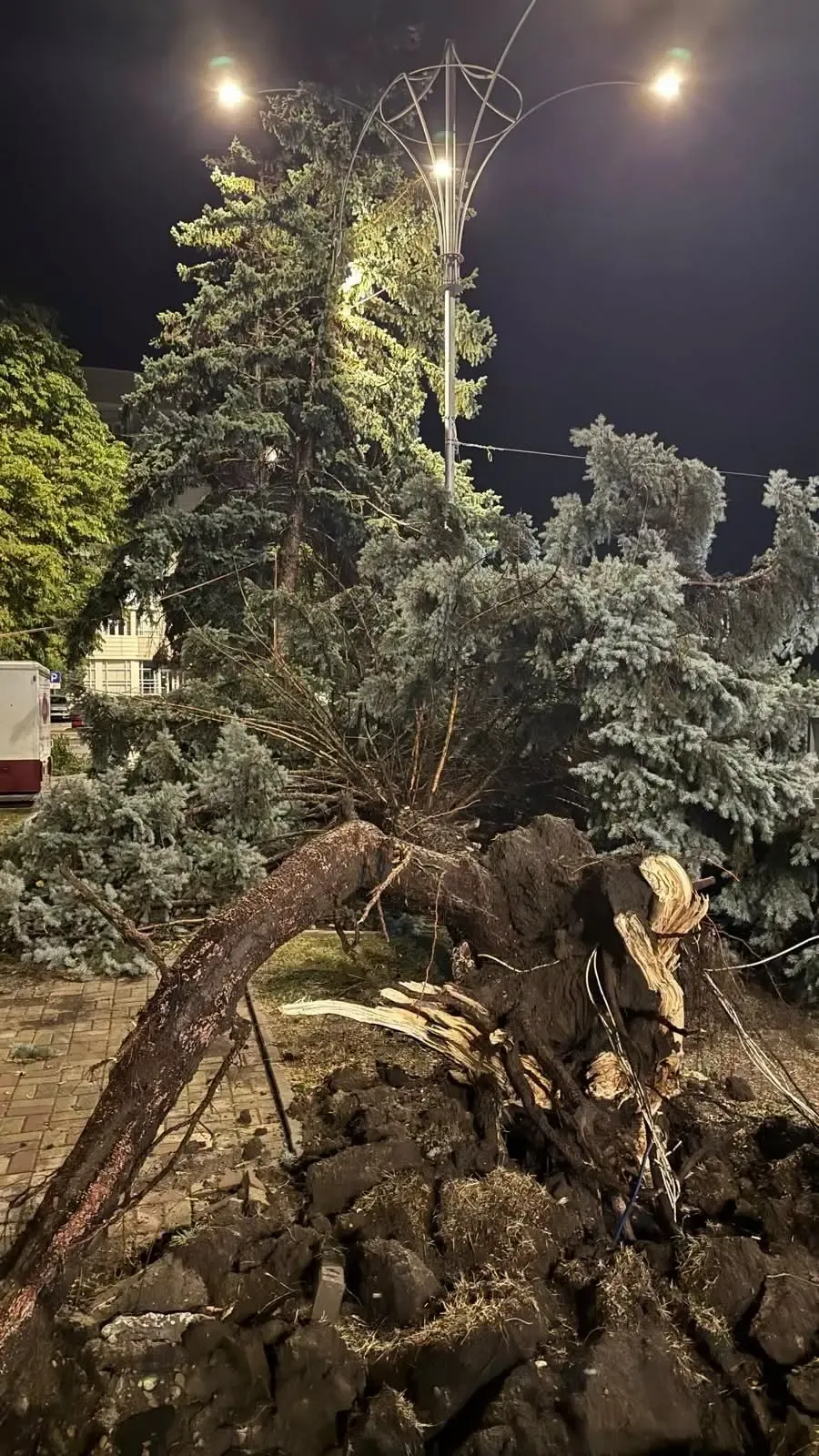 Copac masiv dezrădăcinat lângă un stâlp de iluminat, noaptea, în centrul municipiului Ungheni.