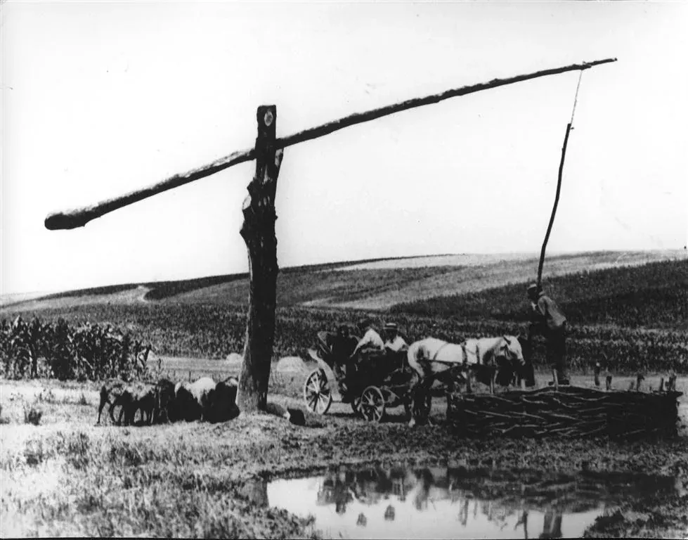 Fotografie alb-negru din 1931: o fântână cu cumpănă pe un câmp deluros la Cornova, cu un car tras de cai și câțiva oameni adunați lângă apă.