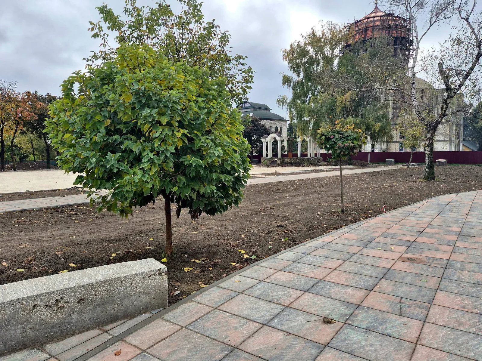 Alee nouă pavată cu dale, un arbore tânăr și teren nivelat, pregătit pentru plantare, în centrul Ungheniului; în fundal, Catedrala Episcopală.